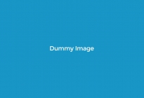 office-wordpress-theme-header-4